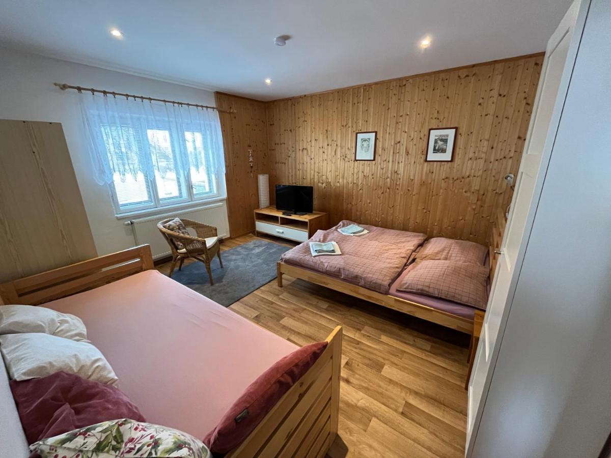 Ubytování Sedlařík Mladé Buky Extérieur photo