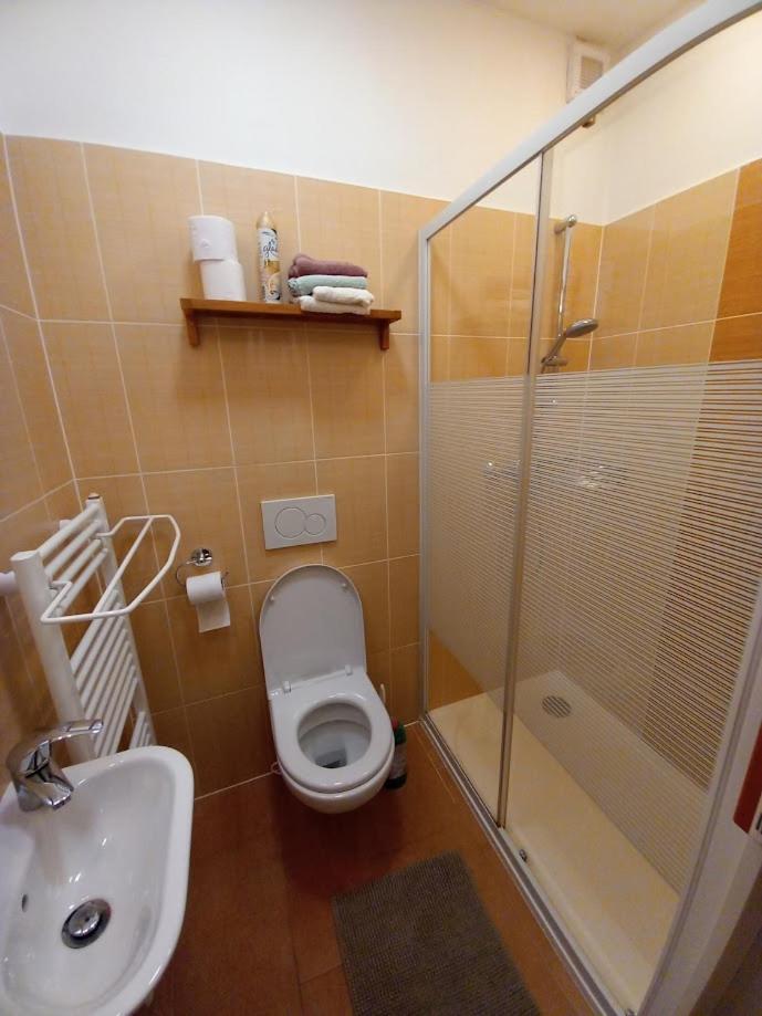 Ubytování Sedlařík Mladé Buky Extérieur photo